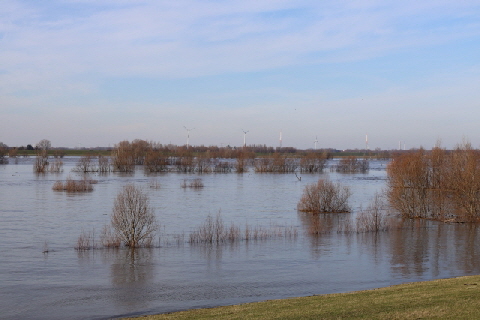 RheinHochwasser1