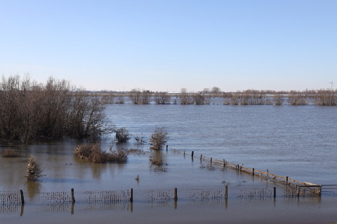 RheinHochwasser2