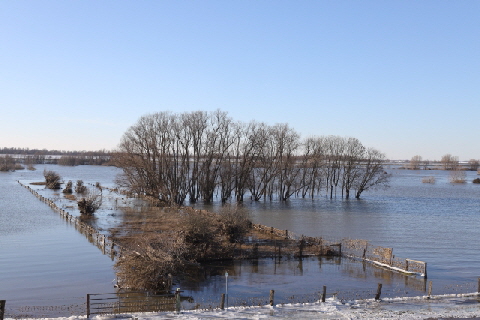 RheinHochwasser3