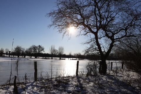 RheinaueWinter2